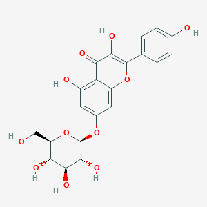 kaempferol 7-O-glucoside
