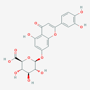 Luteolin 7-glucuronide