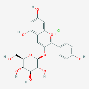molecular formula C21H21ClO10 B192049 Callistephin chloride CAS No. 18466-51-8