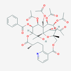molecular formula C43H49NO18 B192672 Wilforine CAS No. 11088-09-8