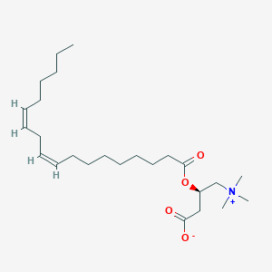 molecular formula C25H45NO4 B196140 Linoleoylcarnitine CAS No. 36816-10-1
