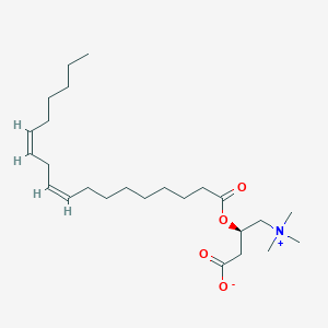 molecular formula C25H49NO4 B196140 O-linoleyl-L-carnitine CAS No. 36816-10-1