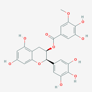 molecular formula C23H20O11 B196144 表儿茶素3-O-(3-O-甲基)没食子酸酯 CAS No. 83104-87-4