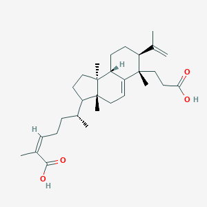 molecular formula C30H46O4 B197857 Kadsuric acid CAS No. 62393-88-8