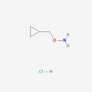 molecular formula C4H10ClNO B020476 O-(cyclopropylmethyl)hydroxylamine Hydrochloride CAS No. 74124-04-2