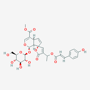 molecular formula C30H32O14 B210118 methyl (1S,4aS,7R,7aS)-4'-[1-[(E)-3-(4-hydroxyphenyl)prop-2-enoyl]oxyethyl]-5'-oxo-1-[(2S,3R,4S,5S,6R)-3,4,5-trihydroxy-6-(hydroxymethyl)oxan-2-yl]oxyspiro[4a,7a-dihydro-1H-cyclopenta[c]pyran-7,2'-furan]-4-carboxylate CAS No. 80416-52-0