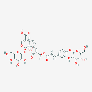 B210384 methyl (1S,4aS,7R,7aS)-5'-oxo-1-[3,4,5-trihydroxy-6-(hydroxymethyl)oxan-2-yl]oxy-4'-[(1S)-1-[(E)-3-[4-[3,4,5-trihydroxy-6-(hydroxymethyl)oxan-2-yl]oxyphenyl]prop-2-enoyl]oxyethyl]spiro[4a,7a-dihydro-1H-cyclopenta[c]pyran-7,2'-furan]-4-carboxylate CAS No. 80396-57-2