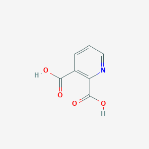 molecular formula C7H5NO4 B021070 喹啉酸 CAS No. 89-00-9