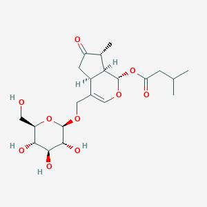 molecular formula C21H32O10 B021254 Ebuloside CAS No. 103553-93-1