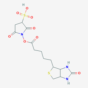 molecular formula C14H19N3O8S2 B217610 Sulfosuccinimidobiotin CAS No. 105248-43-9
