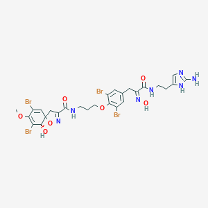 (6S)-N-[3-[4-[(2Z)-3-[2-(2-Amino-1H-imidazol-5-yl)ethylamino]-2-hydroxyimino-3-oxopropyl]-2,6-dibromophenoxy]propyl]-7,9-dibromo-6-hydroxy-8-methoxy-1-oxa-2-azaspiro[4.5]deca-2,7,9-triene-3-carboxamide