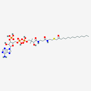 molecular formula C36H64N7O17P3S B219738 S-(2-Oxopentadecyl)-coenzyme A CAS No. 121124-66-1