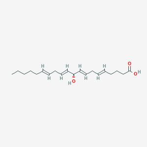 10-Hydroxyeicosatetraenoic acid