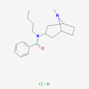 molecular formula C19H29ClN2O B221746 endo-N-Butyl-N-(8-methyl-8-azabicyclo(3.2.1)oct-3-yl)benzamide monohydrochloride CAS No. 171261-26-0