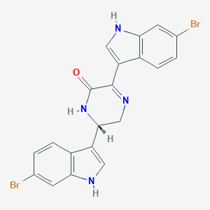 molecular formula C20H14Br2N4O B223257 Hamacanthin A CAS No. 160098-92-0