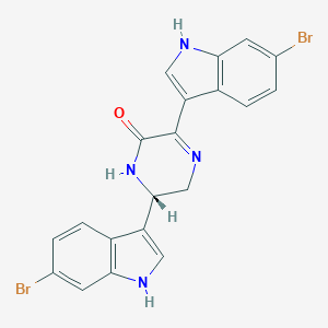 molecular formula C20H14Br2N4O B223257 Hamacanthine A CAS No. 160098-92-0