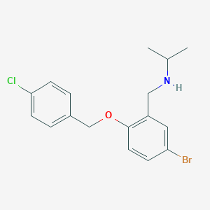 molecular formula C17H19BrClNO B223867 N-{5-bromo-2-[(4-chlorobenzyl)oxy]benzyl}-2-propanamine 