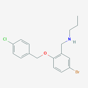 N-{5-bromo-2-[(4-chlorobenzyl)oxy]benzyl}-N-propylamine