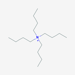 molecular formula C16H36N+ B224687 Tetrabutylammonium CAS No. 10549-76-5