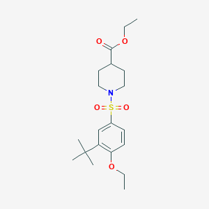 molecular formula C20H31NO5S B224821 Ethyl 1-[(3-tert-butyl-4-ethoxyphenyl)sulfonyl]-4-piperidinecarboxylate 