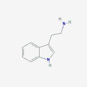 molecular formula C10H12N2 B022526 Tryptamine CAS No. 61-54-1