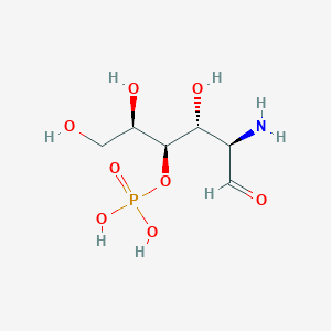 molecular formula C9H18N2O3 B234365 Galactosamine-4-phosphate CAS No. 156586-97-9