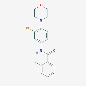 molecular formula C18H19BrN2O2 B235352 N-[3-bromo-4-(morpholin-4-yl)phenyl]-2-methylbenzamide 