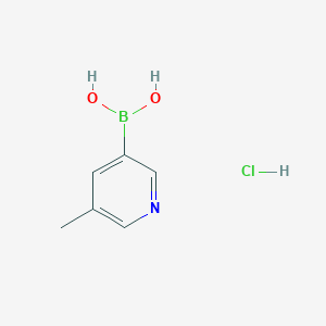 molecular formula C6H9BClNO2 B2356483 5-Methylpyridine-3-boronic acid hydrochloride CAS No. 2377611-80-6