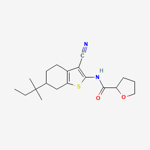 molecular formula C19H26N2O2S B2358479 N-[3-cyano-6-(2-methylbutan-2-yl)-4,5,6,7-tetrahydro-1-benzothiophen-2-yl]tetrahydrofuran-2-carboxamide CAS No. 313385-99-8