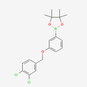 molecular formula C19H21BCl2O3 B2358714 1,3,2-Dioxaborolane, 2-[3-[(3,4-dichlorophenyl)methoxy]phenyl]-4,4,5,5-tetramethyl- CAS No. 2246779-56-4