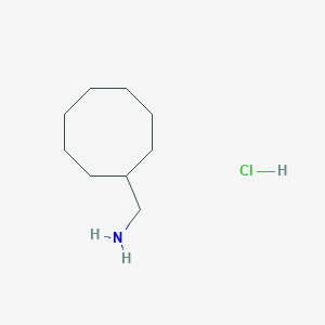 molecular formula C9H20ClN B2362954 Cyclooctylmethanamine hydrochloride CAS No. 1209904-16-4
