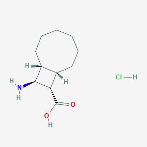 (1R,8S,9S,10S)-10-Aminobicyclo[6.2.0]decane-9-carboxylic acid;hydrochloride