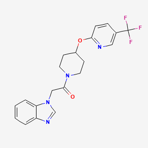 molecular formula C20H19F3N4O2 B2365523 2-(1H-benzo[d]imidazol-1-yl)-1-(4-((5-(trifluoromethyl)pyridin-2-yl)oxy)piperidin-1-yl)ethanone CAS No. 1421492-31-0
