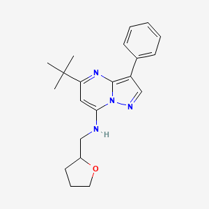 5-tert-butyl-3-phenyl-N-(tetrahydrofuran-2-ylmethyl)pyrazolo[1,5-a]pyrimidin-7-amine