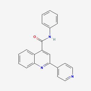 molecular formula C21H15N3O B2366349 N-Phenyl-2-(pyridin-4-yl)quinoline-4-carboxamide CAS No. 879921-41-2