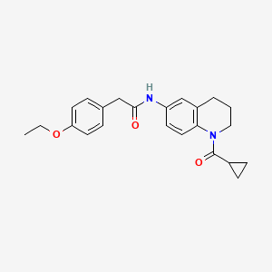 molecular formula C23H26N2O3 B2367556 N-(1-cyclopropanecarbonyl-1,2,3,4-tetrahydroquinolin-6-yl)-2-(4-ethoxyphenyl)acetamide CAS No. 946288-75-1