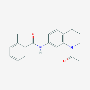 molecular formula C19H20N2O2 B2368125 N-(1-acetyl-1,2,3,4-tetrahydroquinolin-7-yl)-2-methylbenzamide CAS No. 898438-79-4