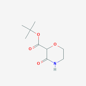 molecular formula C9H15NO4 B2369555 tert-Butyl 3-oxomorpholine-2-carboxylate CAS No. 2169305-03-5