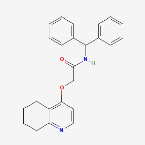 N-benzhydryl-2-((5,6,7,8-tetrahydroquinolin-4-yl)oxy)acetamide