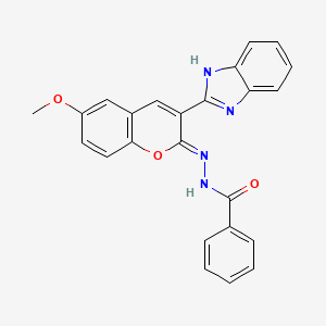 molecular formula C24H18N4O3 B2370044 N'-[(2Z)-3-(1H-benzimidazol-2-yl)-6-methoxy-2H-chromen-2-ylidene]benzohydrazide CAS No. 324063-77-6