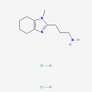 3-(1-methyl-4,5,6,7-tetrahydro-1H-1,3-benzodiazol-2-yl)propan-1-amine dihydrochloride