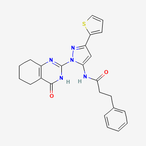 molecular formula C24H23N5O2S B2371125 N-(1-(4-oxo-3,4,5,6,7,8-hexahydroquinazolin-2-yl)-3-(thiophen-2-yl)-1H-pyrazol-5-yl)-3-phenylpropanamide CAS No. 1207028-47-4