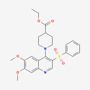 molecular formula C25H28N2O6S B2371268 ethyl 1-[3-(benzenesulfonyl)-6,7-dimethoxyquinolin-4-yl]piperidine-4-carboxylate CAS No. 895648-34-7
