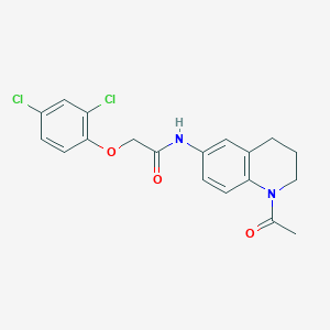 molecular formula C19H18Cl2N2O3 B2372075 N-(1-acetyl-1,2,3,4-tetrahydroquinolin-6-yl)-2-(2,4-dichlorophenoxy)acetamide CAS No. 941986-31-8