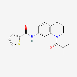molecular formula C18H20N2O2S B2372848 N-(1-isobutyryl-1,2,3,4-tetrahydroquinolin-7-yl)thiophene-2-carboxamide CAS No. 1005301-40-5