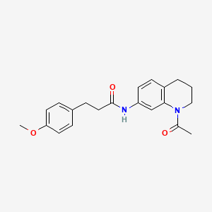 molecular formula C21H24N2O3 B2374317 N-(1-acetyl-1,2,3,4-tetrahydroquinolin-7-yl)-3-(4-methoxyphenyl)propanamide CAS No. 898423-70-6