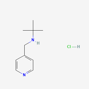 molecular formula C10H17ClN2 B2377910 tert-Butyl(4-pyridinylmethyl)amine hydrochloride CAS No. 1185150-94-0; 341008-29-5