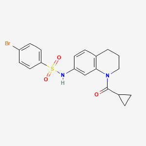 molecular formula C19H19BrN2O3S B2382770 4-bromo-N-(1-cyclopropanecarbonyl-1,2,3,4-tetrahydroquinolin-7-yl)benzene-1-sulfonamide CAS No. 898439-36-6