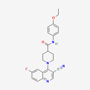 molecular formula C24H23FN4O2 B2383407 N-(2,3-dimethylphenyl)-5-[(4-methylphenyl)sulfonyl]thiophene-2-carboxamide CAS No. 1207020-60-7