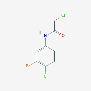 molecular formula C8H6BrCl2NO B2383417 N-(3-bromo-4-chlorophenyl)-2-chloroacetamide CAS No. 22459-87-6